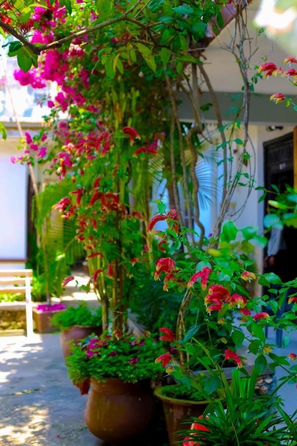 Garden Lodge Zanzibar Eksteriør billede