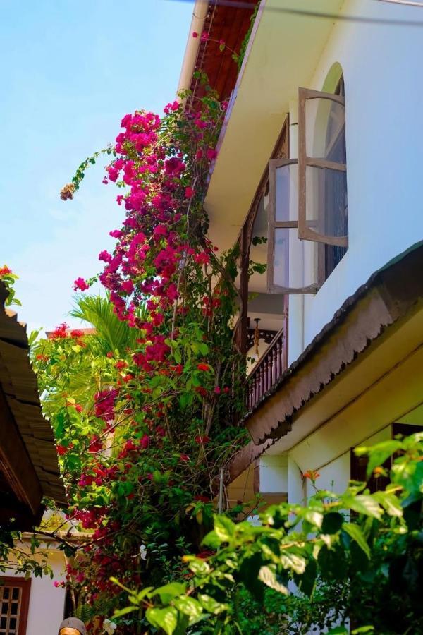 Garden Lodge Zanzibar Eksteriør billede